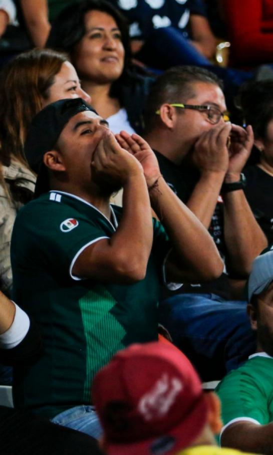 la-federacion-mexicana-de-futbol-va-en-serio-contra-el-grito-homofobico