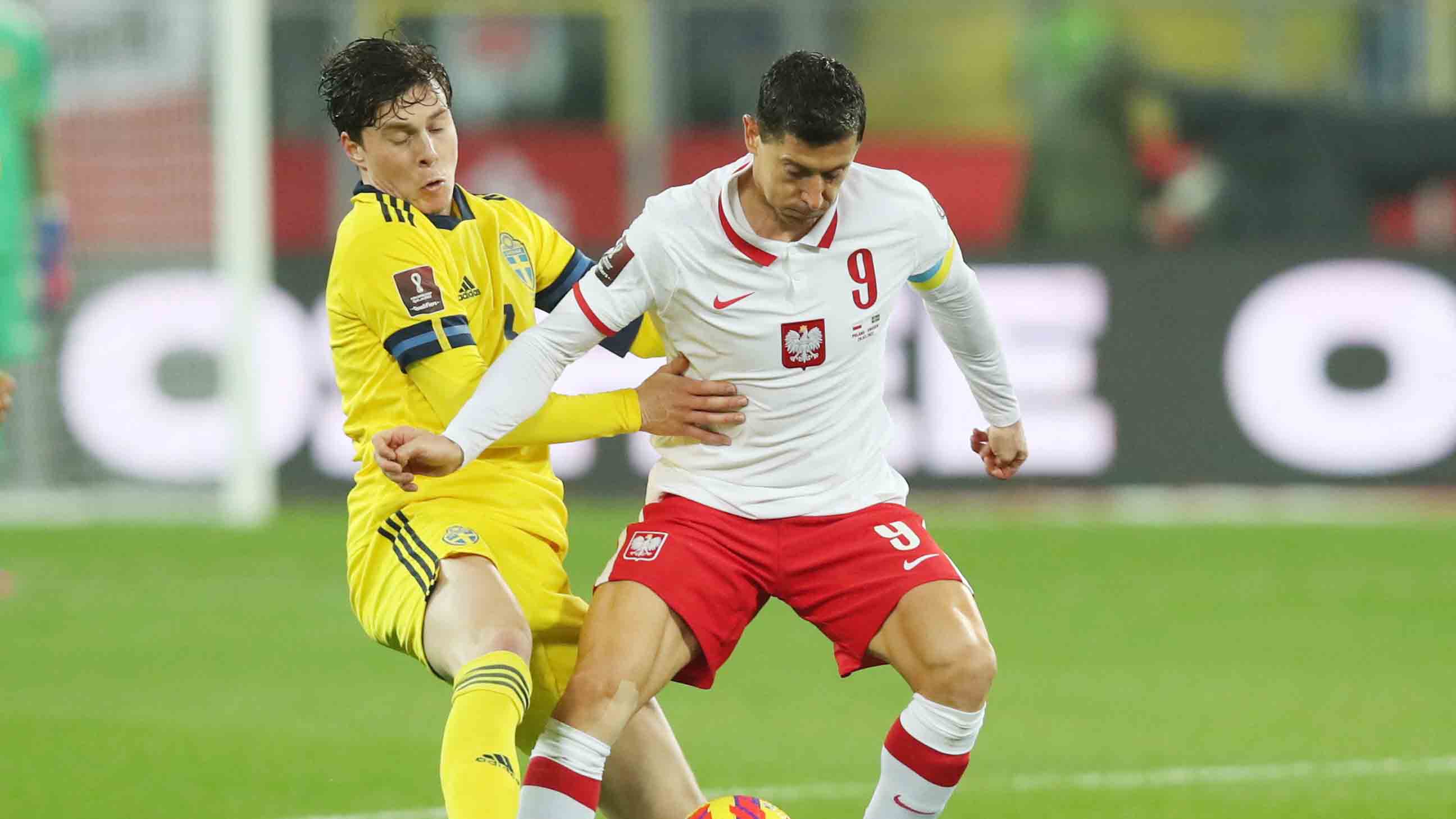 Polonia celebra su pase a Qatar 2022