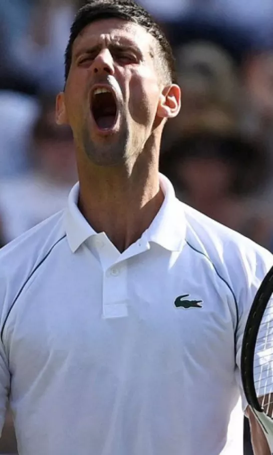 Novak Djokovic, encantado de jugar con Nick Kirgios la final de Wimbledon