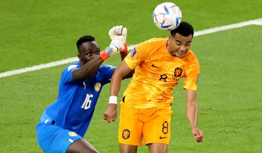 Países Bajos y el doblete que desmoronó a Senegal en los últimos suspiros