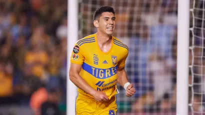 5. Jesús Angulo, Tigres: 7 millones de euros