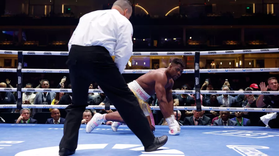 El peleador de origen africano visitó la lona en el segundo round y no se levantó