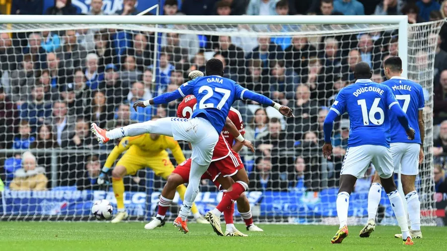 Idrissa Gana Gueye adelantó a Everton a los 29 minutos