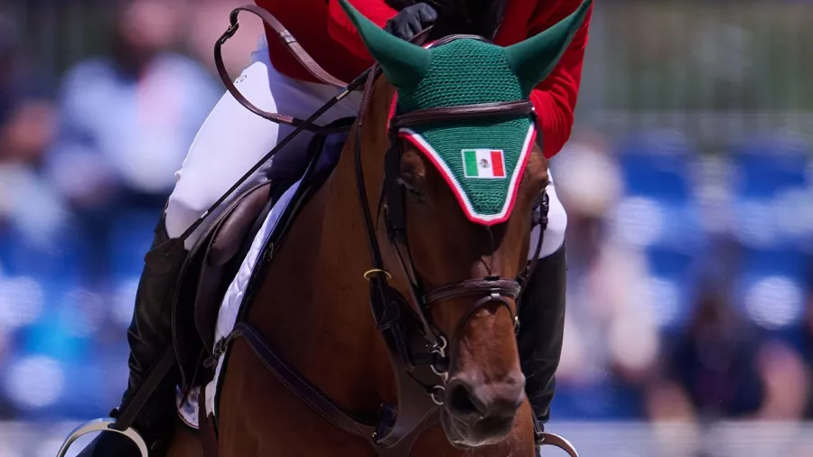 9.	Joaquín Pérez de las Heras (ecuestre): 2 bronces