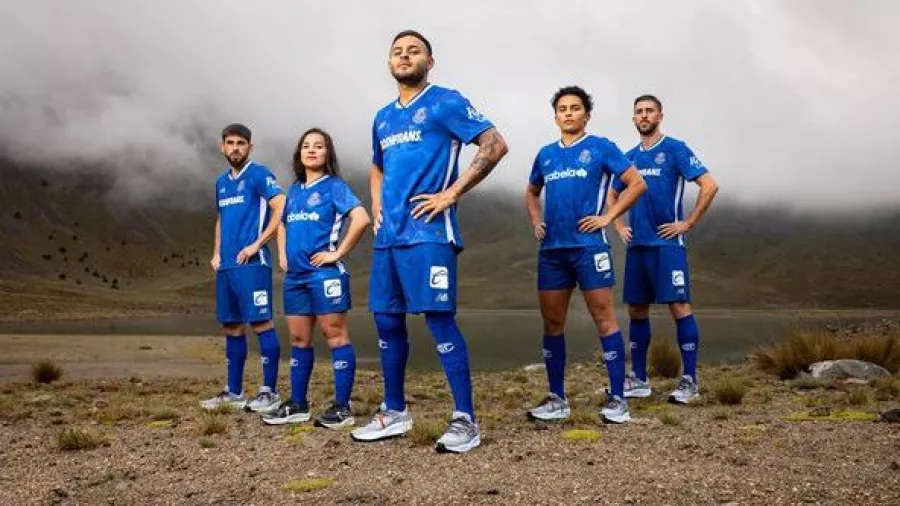 El azul  representa la inmensidad del cielo desde la cima del Nevado de Toluca y el blanco la nieve del volcán representativo de la capital del Esado de México