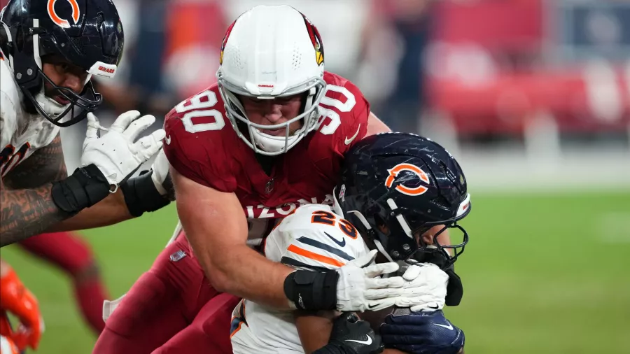 Arizona Cardinals 29-9 Chicago Bears