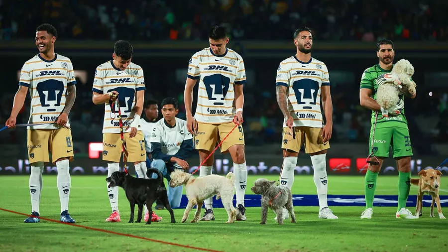 Así este especial protocolo de cara al duelo ante Querétaro por la Jornada 16 del Apertura 2024.