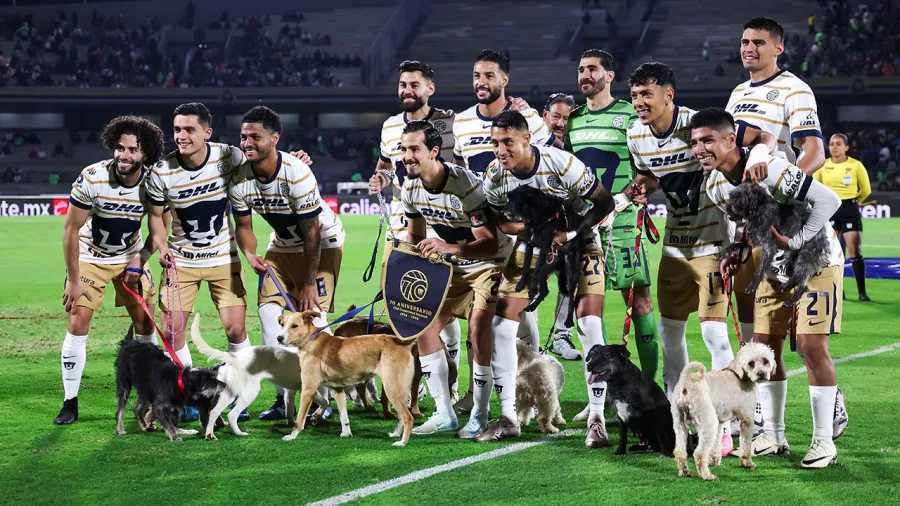 Pumas promueve la adopción de perros.