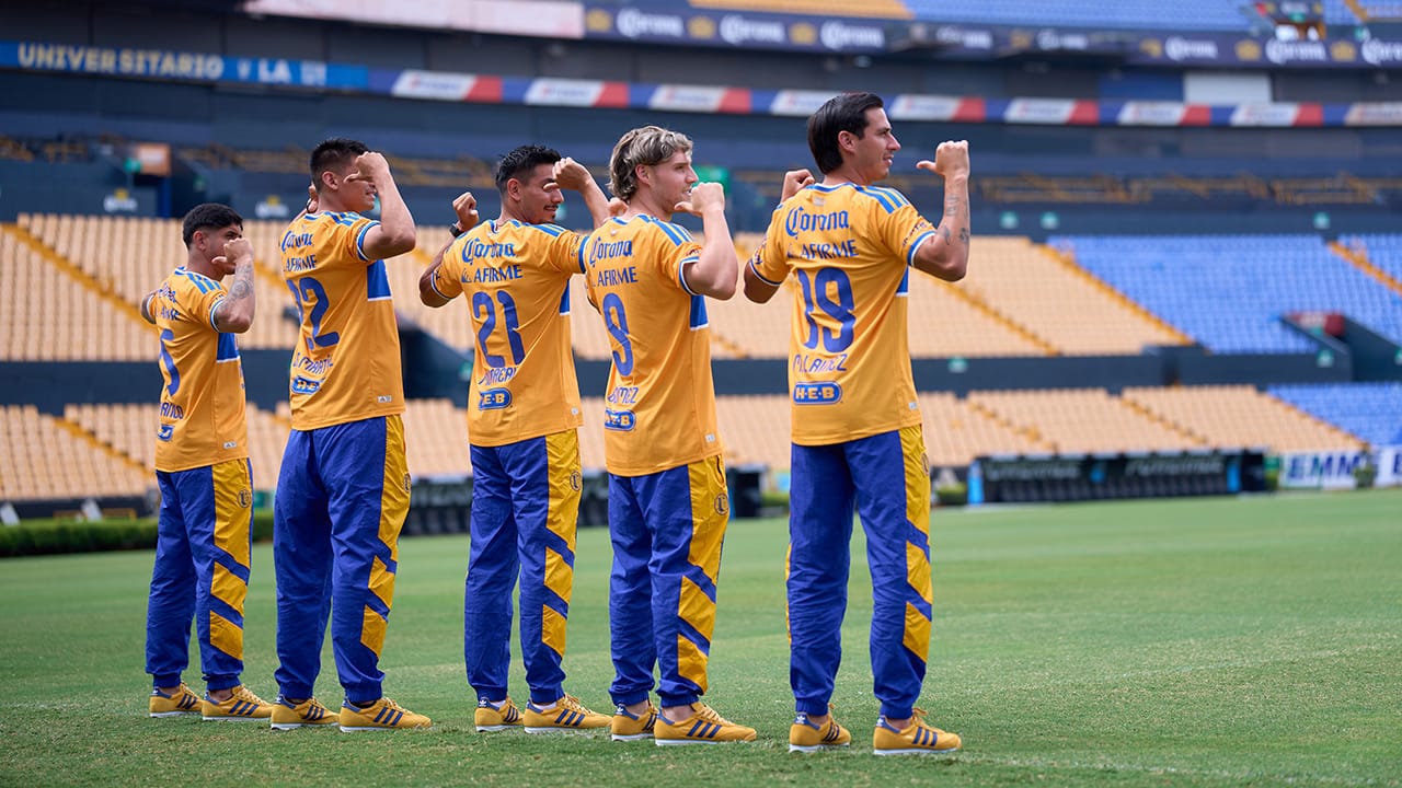 Cinco jugadores y un entrenador, los refuerzos de Tigres